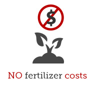 No Fertilizer Costs