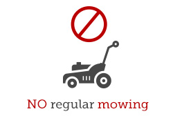 No Regular Mowing